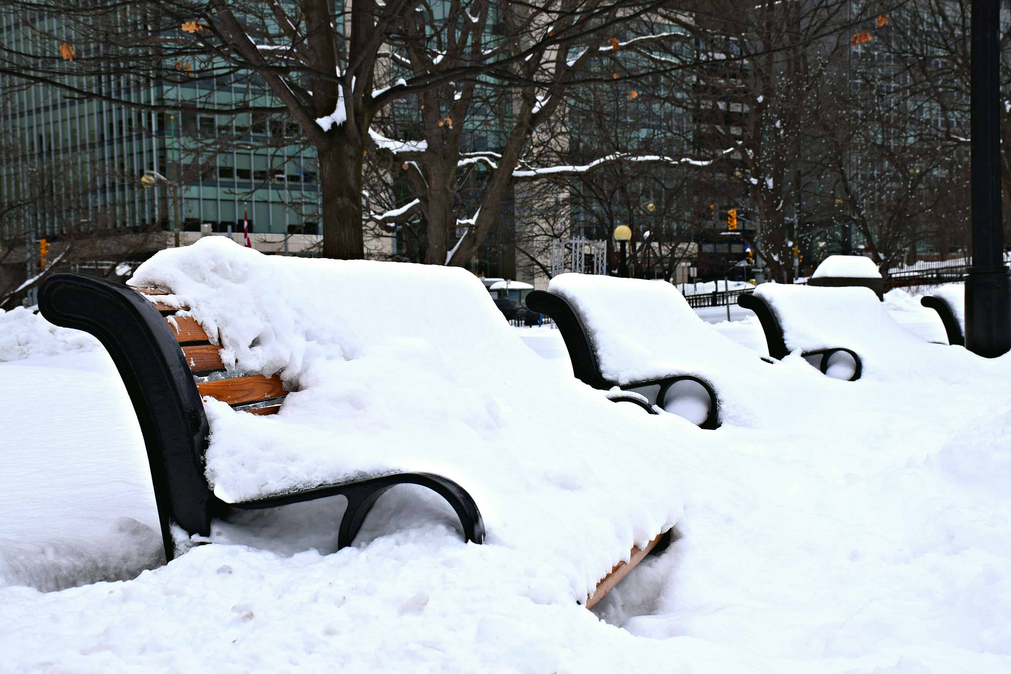 Confederation Park, Ottawa Snowstorm 2016
