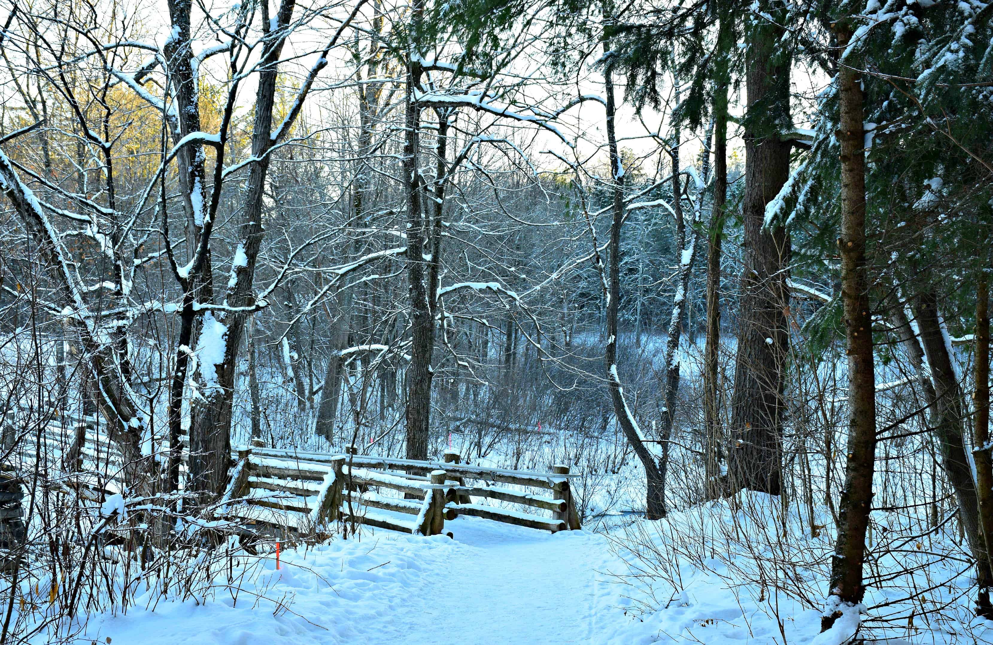 Gatineau Park, Quebec