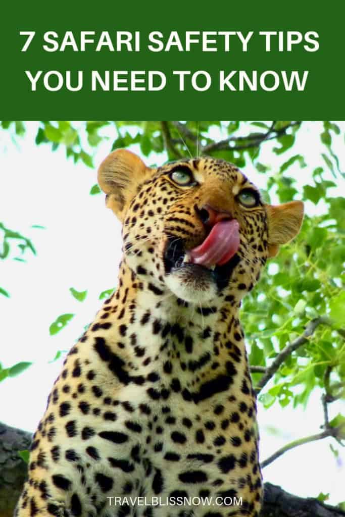 7 Safari Safety Tips You Need to Know
