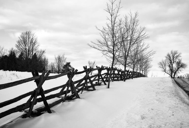 Photo of the Week:  Country Roads