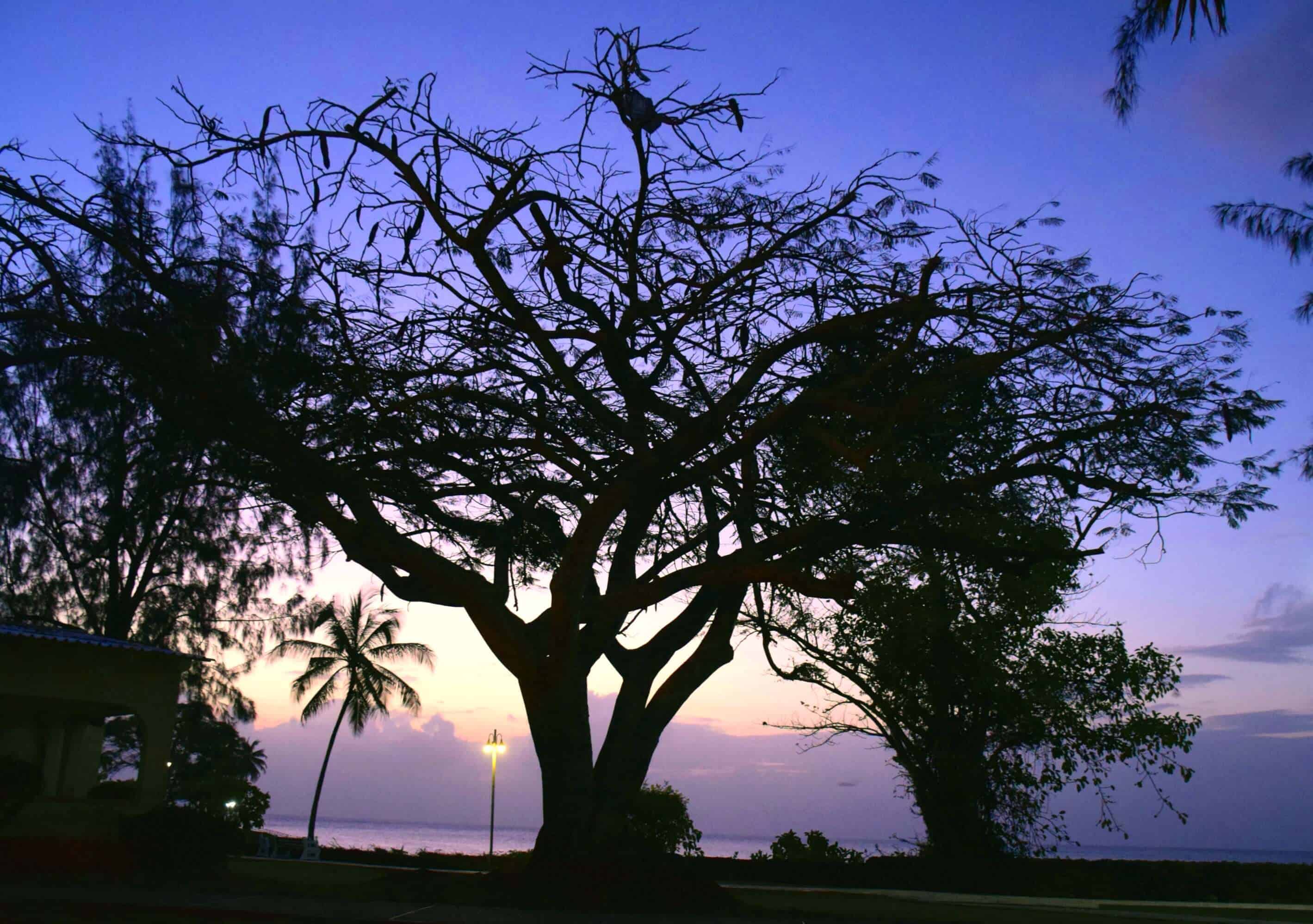 Crown Point, Tobago