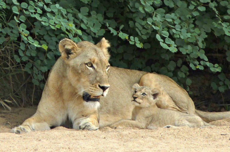 5 Reasons Why You Should Travel With Your Mom Now