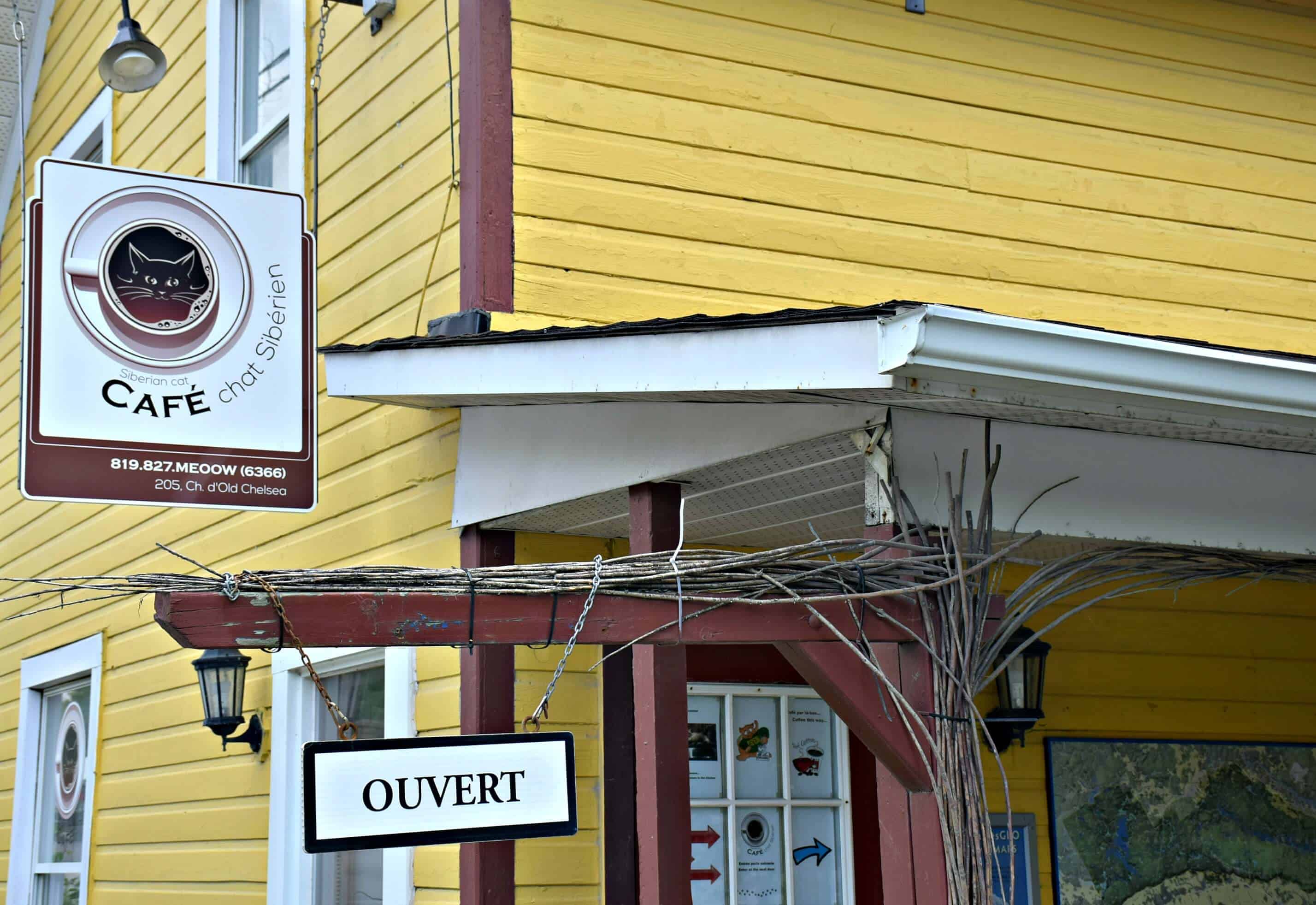 Siberian Cat Cafe, Canada