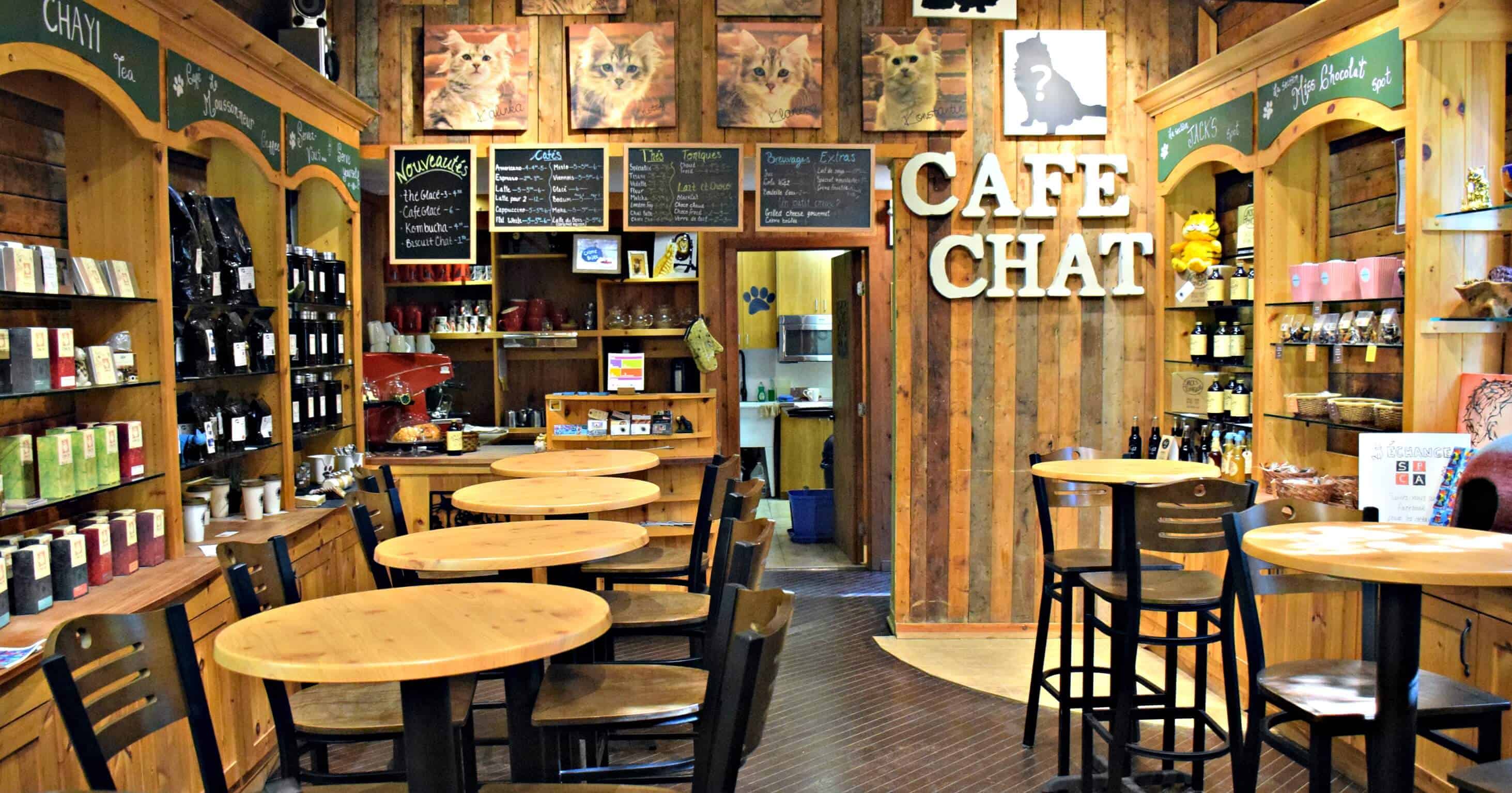 Siberian Cat Cafe, Canada