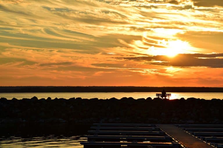 Photo of the Week:  Summer Dreaming