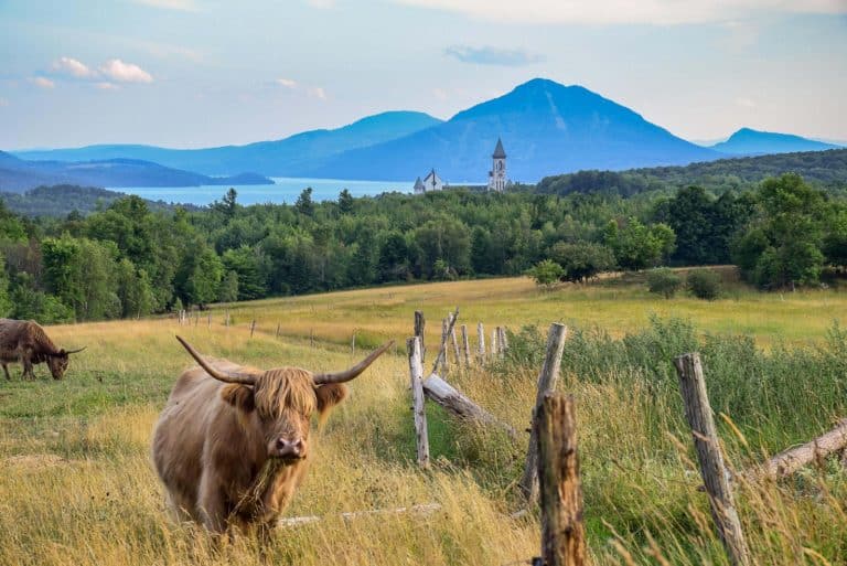 Top Things to Do in Quebec's Eastern Townships, Canada