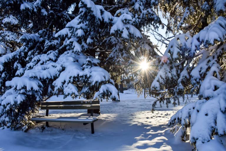 Photo of the Week:  Magical Snow in Calgary
