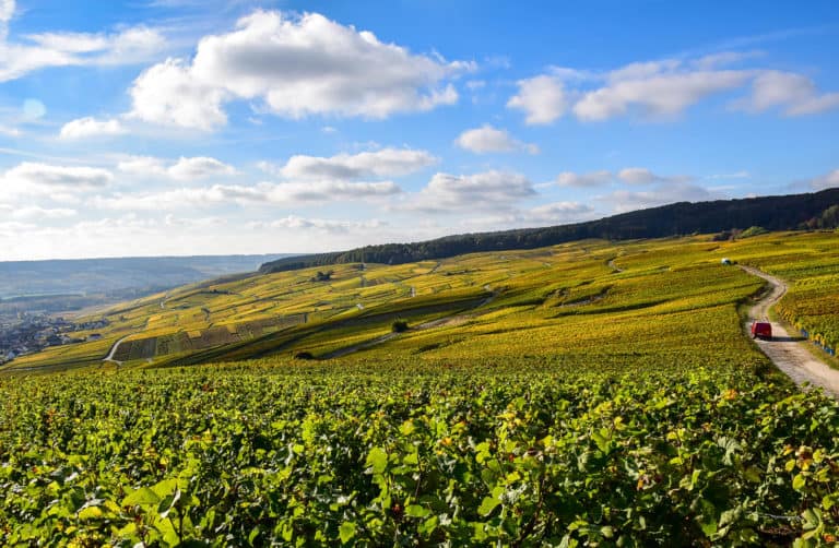 Visit champagne
