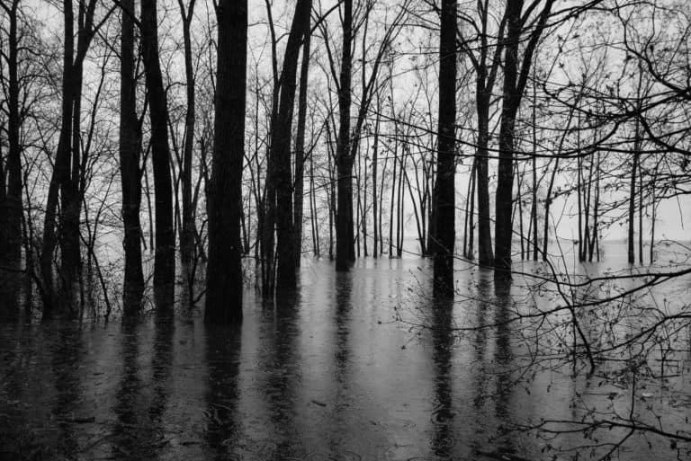 Definitely Not Bliss:  Scenes From a Flood