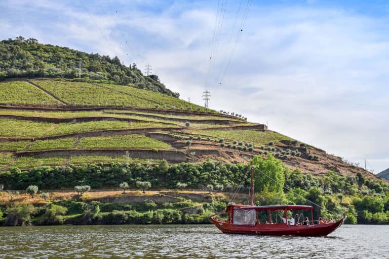 best tour of the douro valley