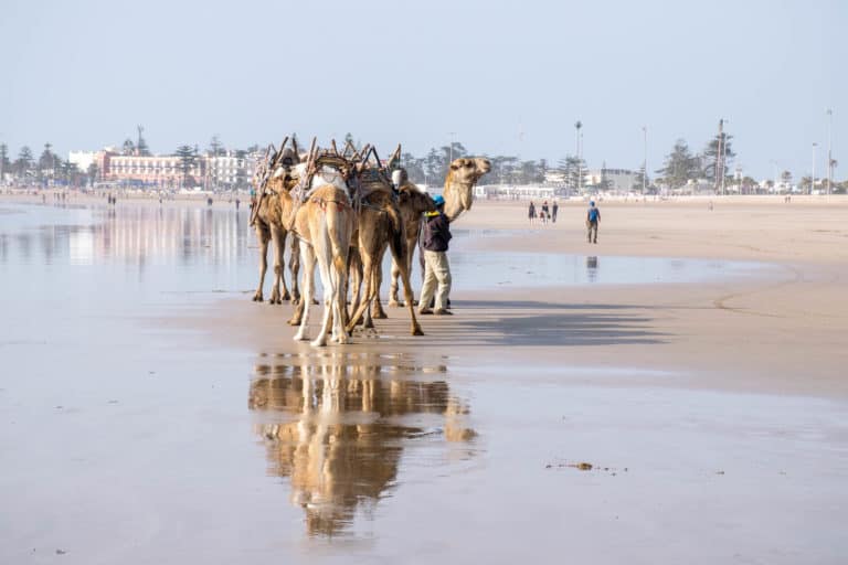 Visit Essaouira Morocco