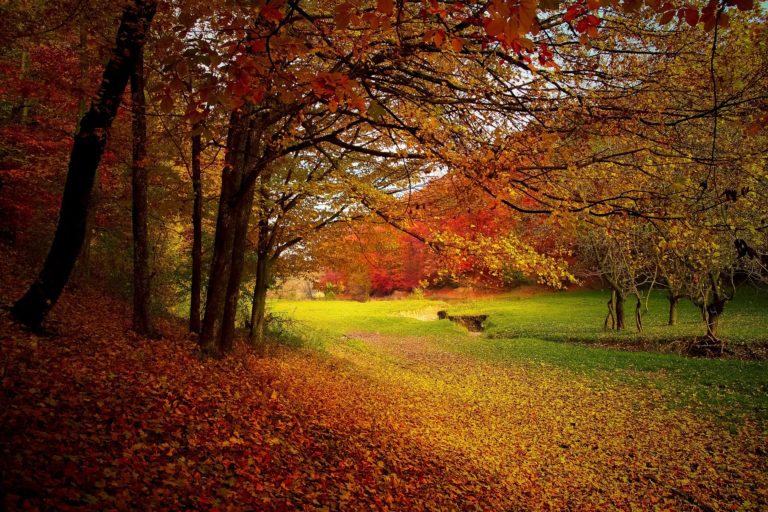 fall getaway northeastern US