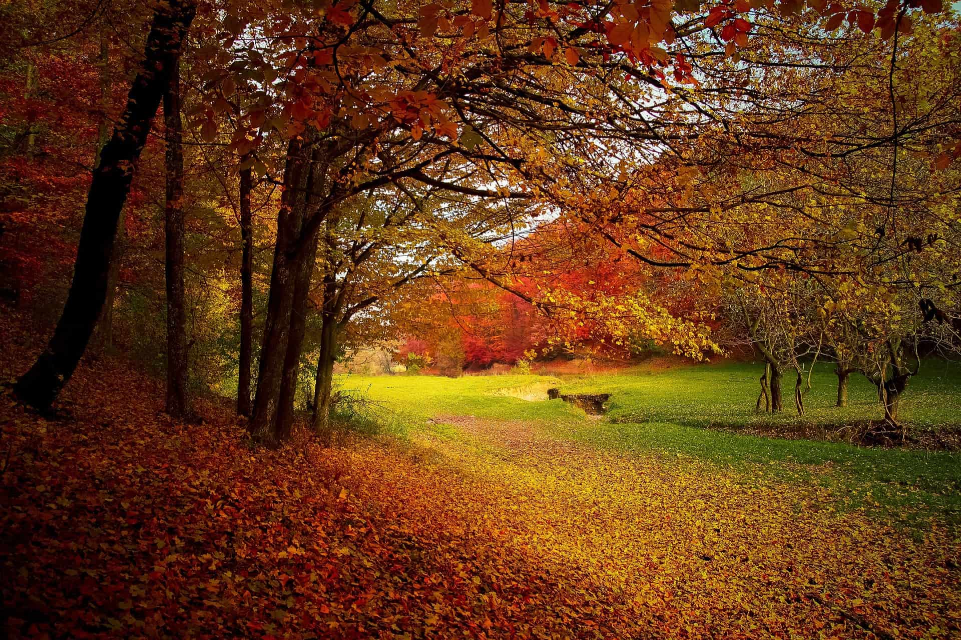 fall getaway northeastern US