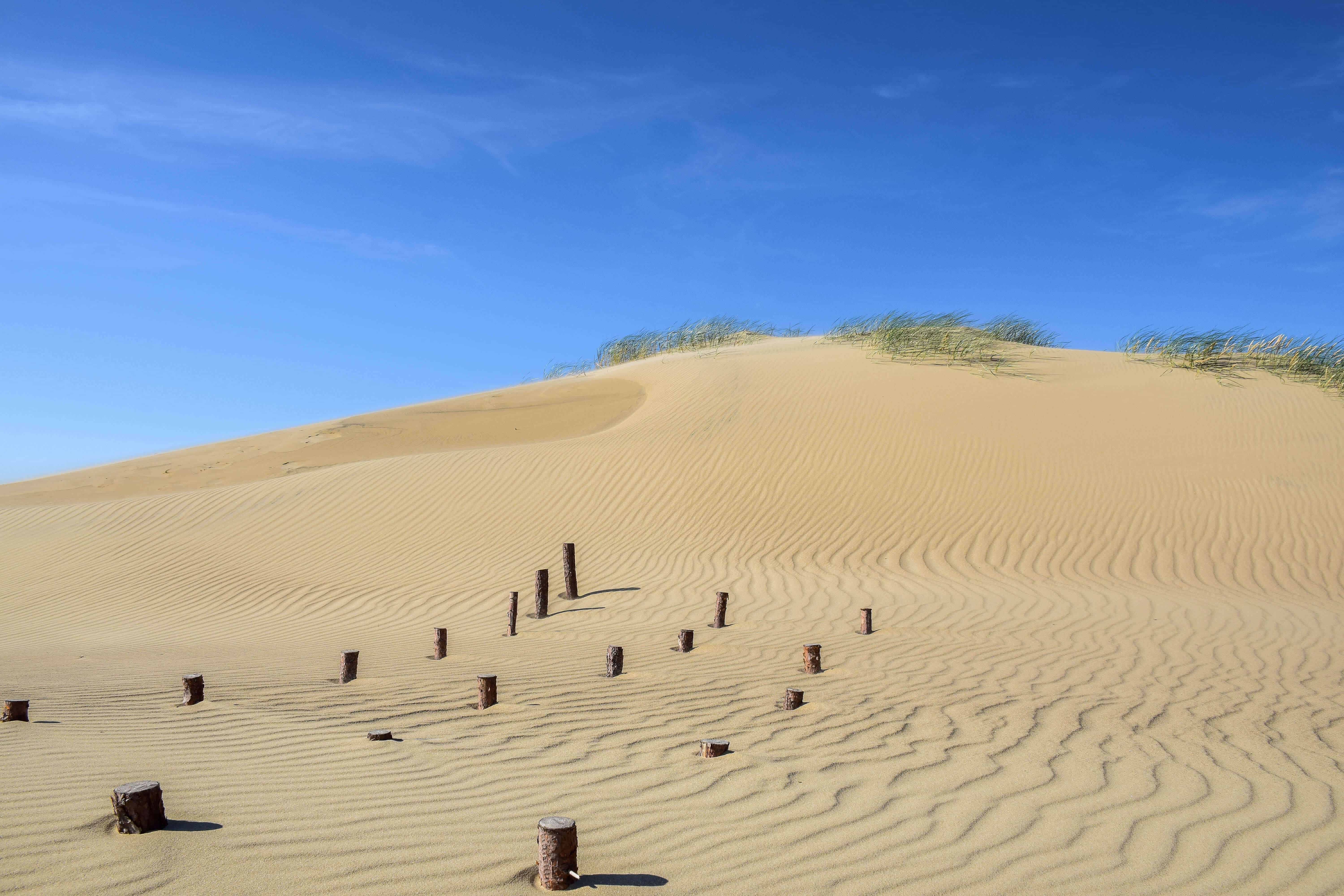 Curonian Spit