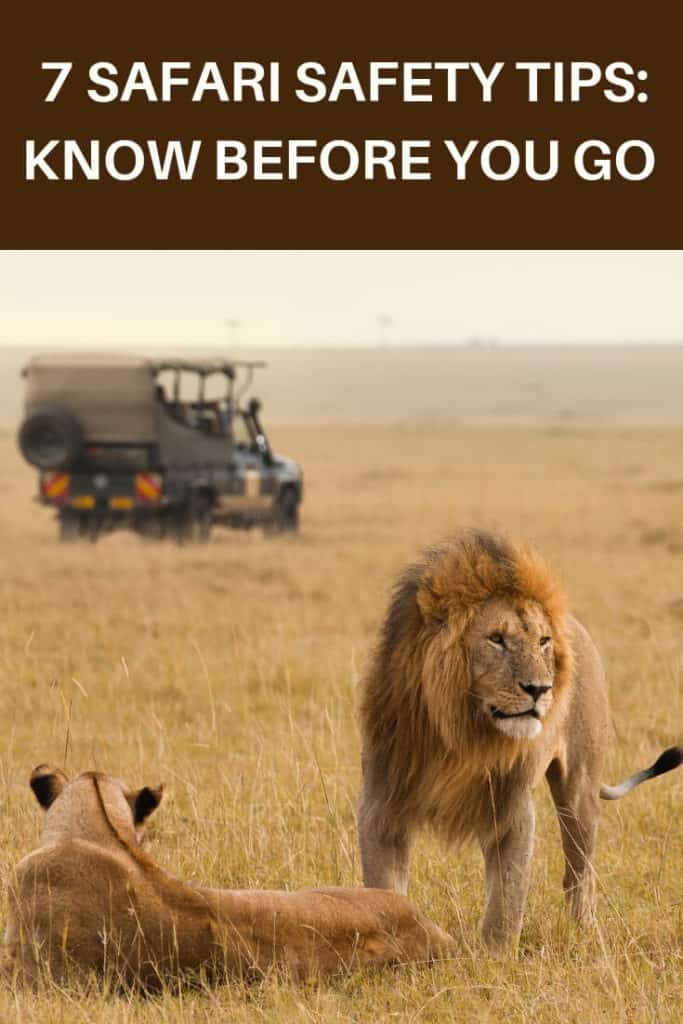 7 Safety Tips You Should Know About an African Safari