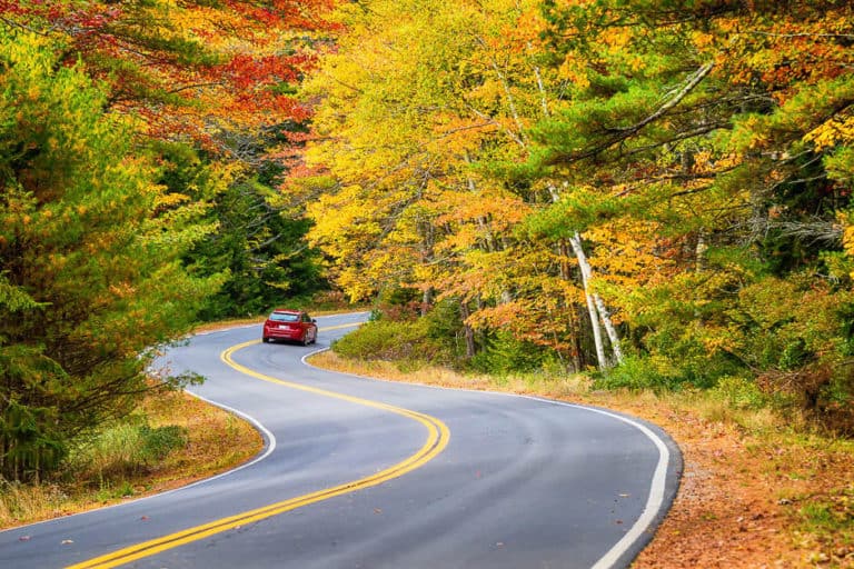 A winding road through fall foliage in New England.