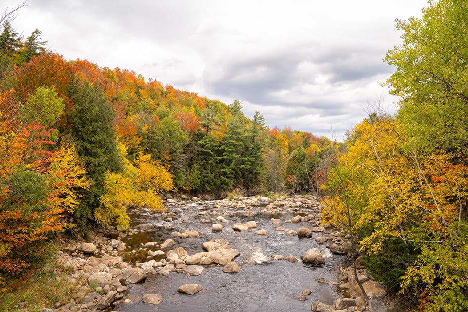 A creek full of boulders surrounded by trees in fall colours in Upstate NY.
