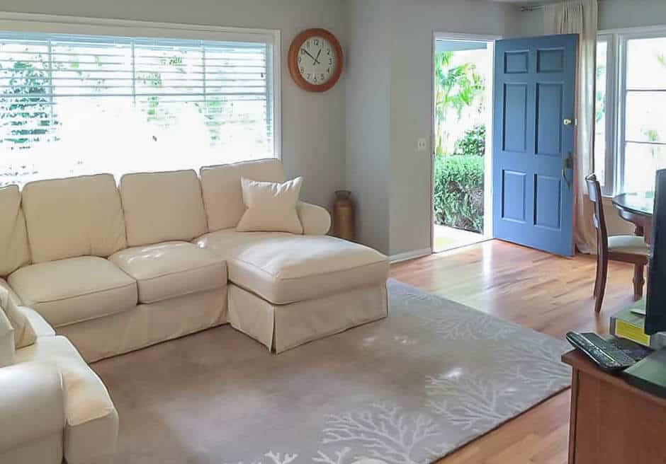 Couch and hardwood floors in a bright living room